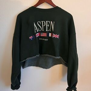 Brandy Melville crewneck cropped